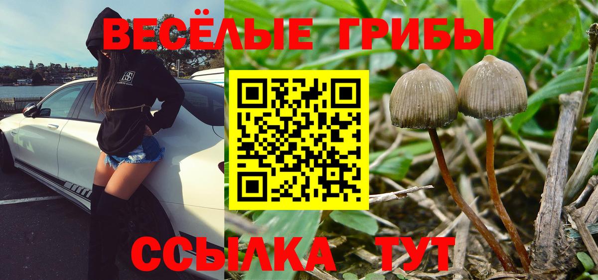 Псилоцибиновые грибы GOLDEN TEACHER  Вход с VPN  где продают   Югорск 